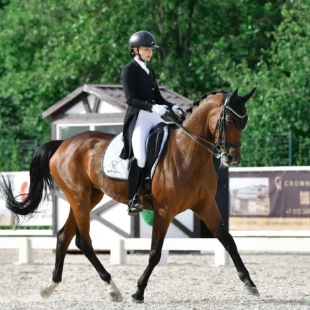 Выездка для взрослых. Абонемент 4 занятия