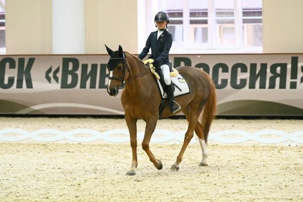 Шаговое занятие по верховой езде