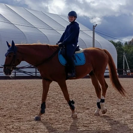 Лагерь Мечты 5 дней