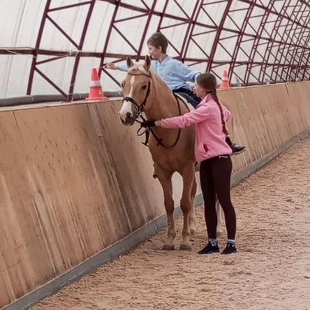 Развивающая верховая езда