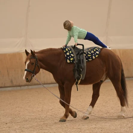 Вольтижировка разовое занятие