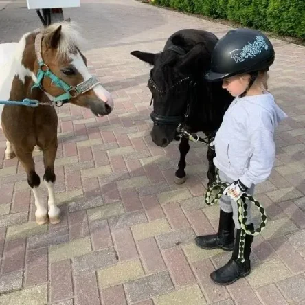 Прогулка с мини-лошадкой