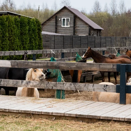 Сборная экскурсия