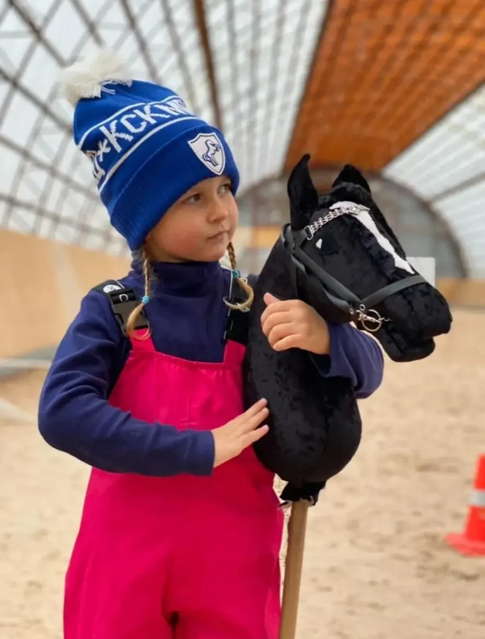 Хоббихорсинг