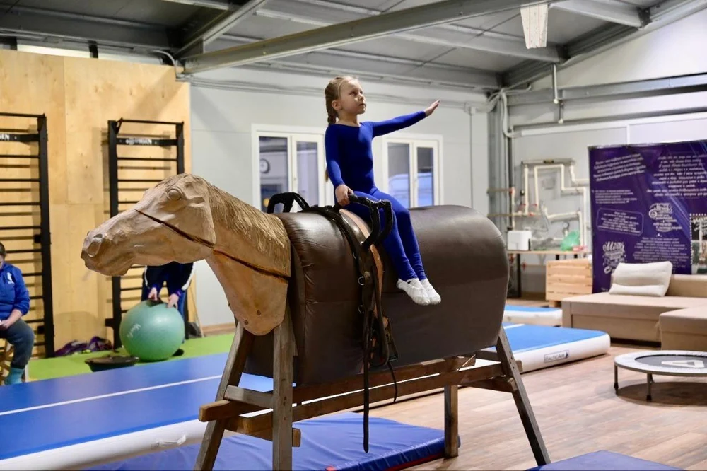 Вольтижировка - это гимнастика и акробатика в гармонии с лошадью