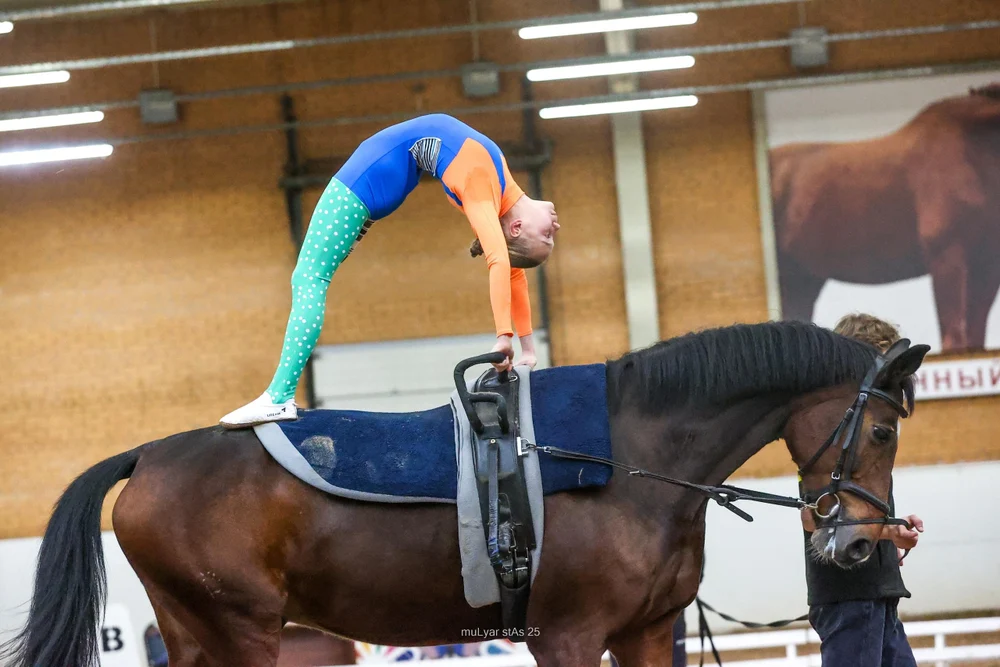 Вольтижировка - это гимнастика и акробатика в гармонии с лошадью