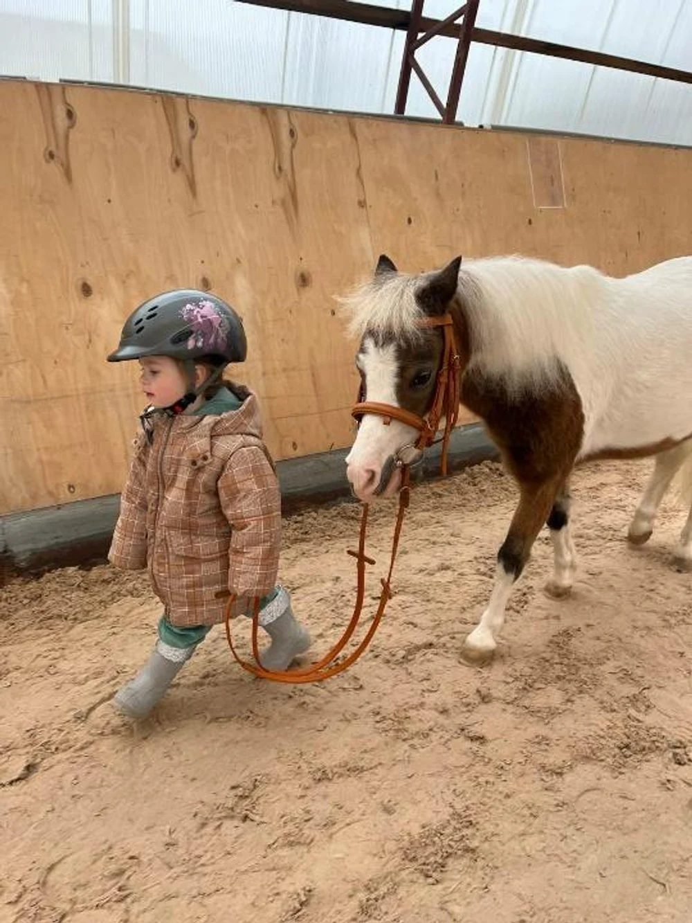 Прогулка с мини-лошадкой