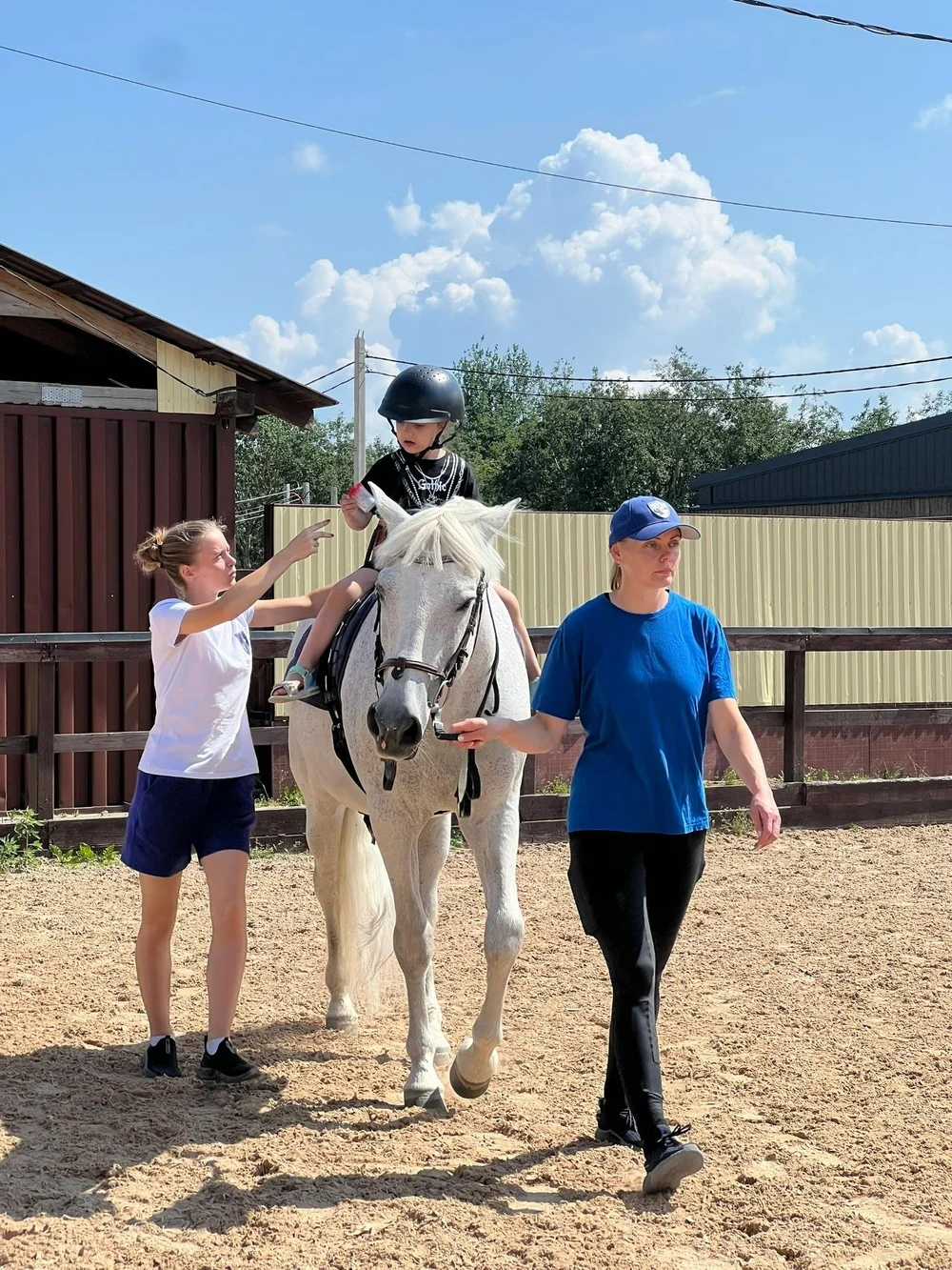 Иппотерапия