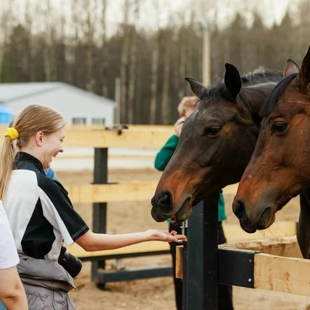 Индивидуальная экскурсия