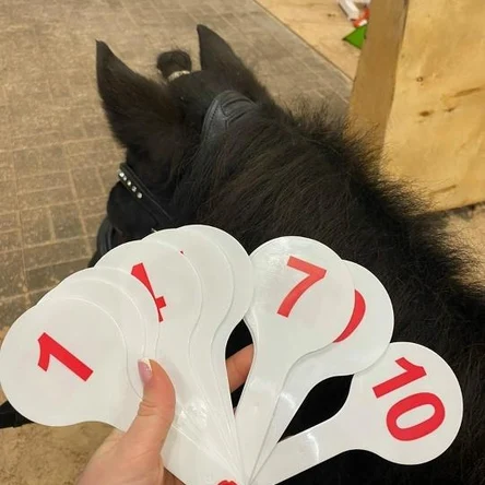 Развивающая верховая езда (абонемент)