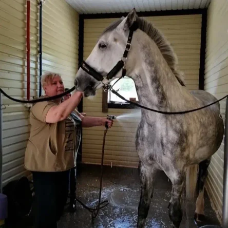 Школа доброты