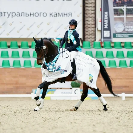 Выездка для взрослых разовое занятие