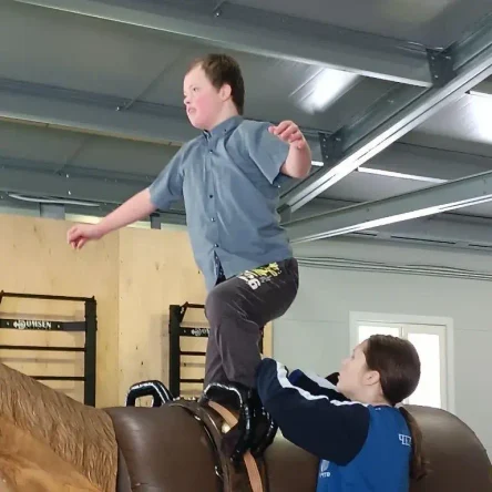 Разовое занятие по адаптивной вольтижировке