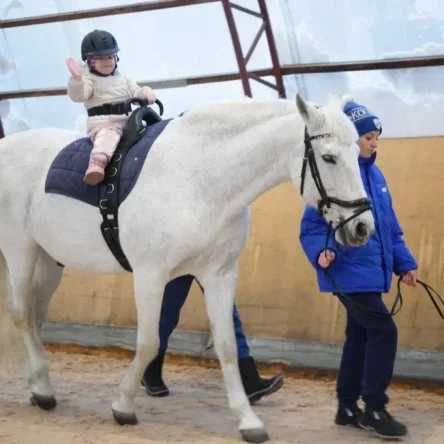 Иппотерапия