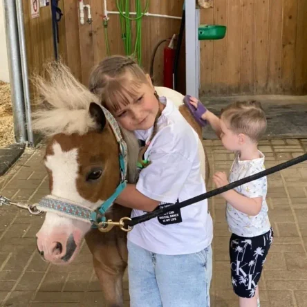 Знакомство с лошадьми