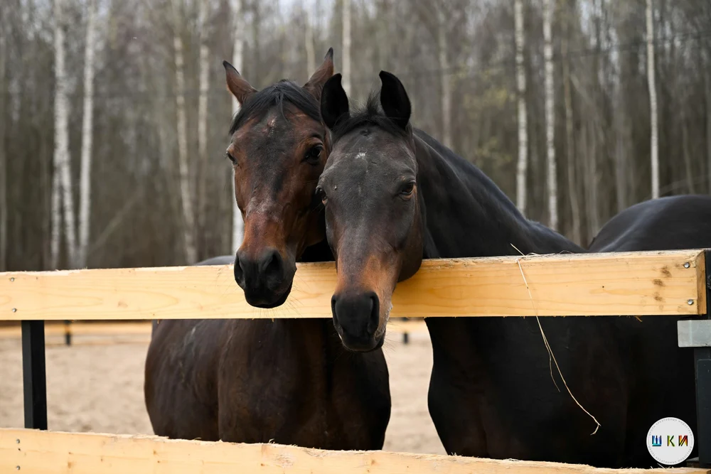 Экскурсии в КСК Мечта