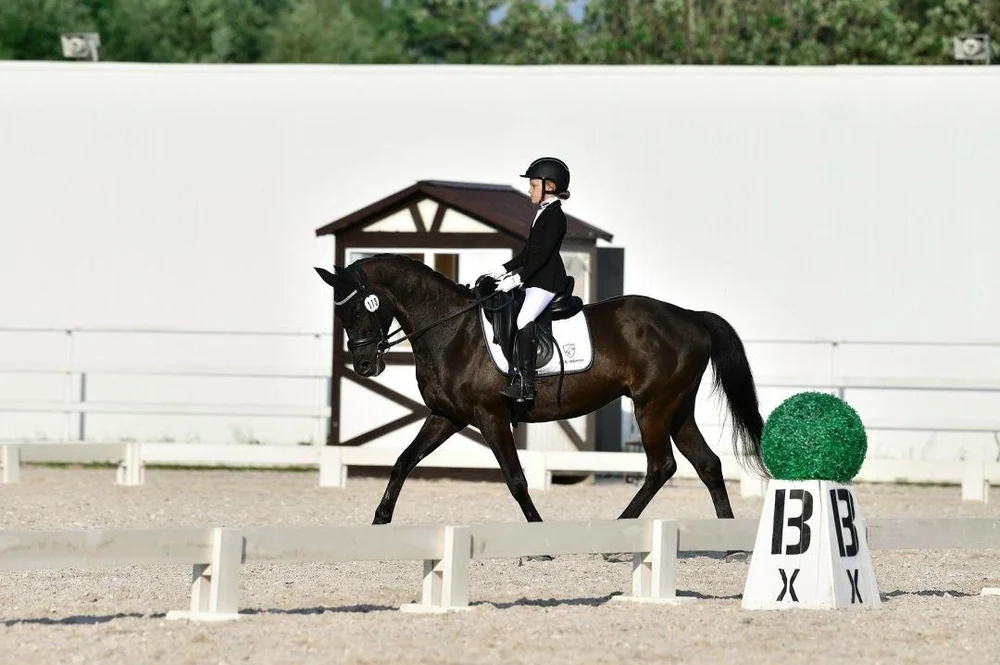 Верховая езда для детей и взрослых