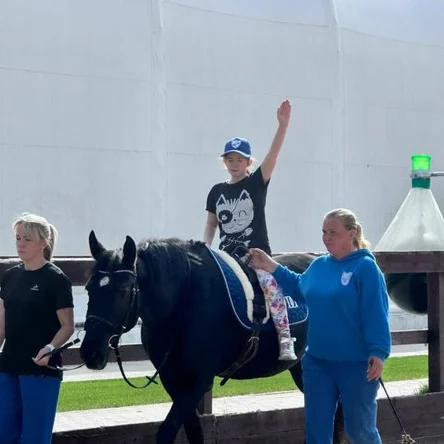 Гимнастика на лошади для взрослых