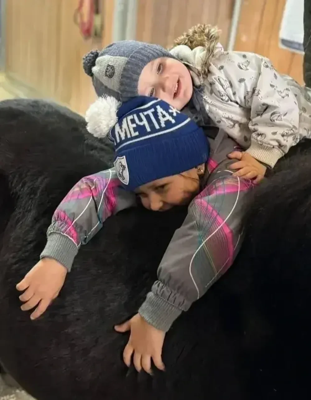 Ипповенция