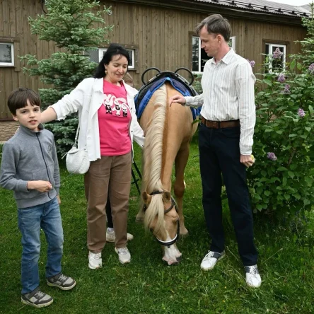 Дружная семья